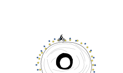 THE EYE (or disk)
