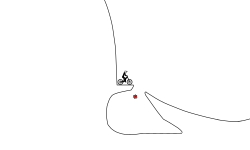 do a flip