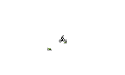 DONT MOVE! AUTO!
