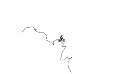jumps