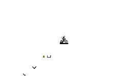 Cool Blocky Auto