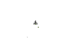 never move