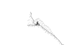 Detail Test