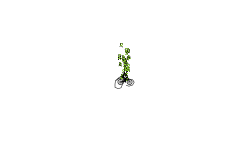 Catapult idea