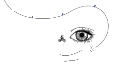 Eye