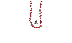 Helicopter bomb