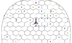 Bee Hive