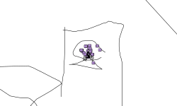 draiman ships