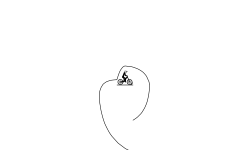 weird (noob ver)