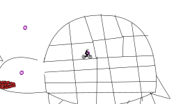 Space Turtle