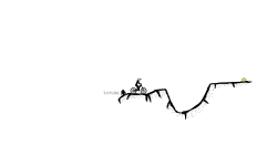Ravine