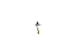 Impossible auto