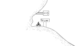 Racing pro