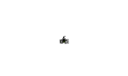 Auto fall