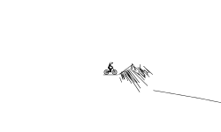crash runner