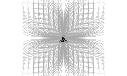 Measured Lines