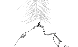 forest track