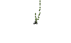 Combo puzzle