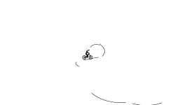 ok wheelie