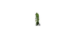 don.t move spike edition