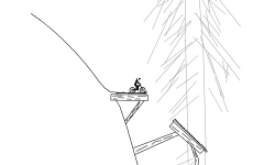 Forest Fun
