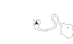 Methyl