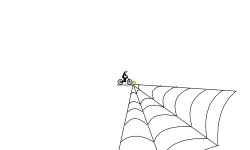 Spider's Web