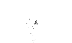BMX auto
