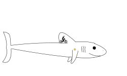 Sharky
