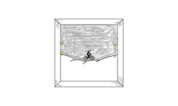 a pikture