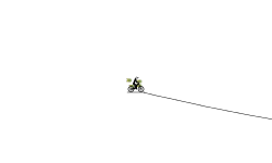 VELOCIDAD 0.0