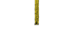 6300 stars