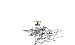 Unicycle Challenge