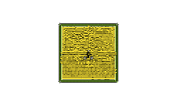 Heli Starboard