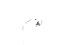 short wheelie