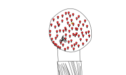 One big hot air balloon