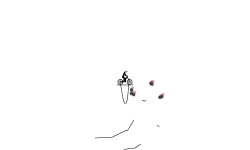 auto4