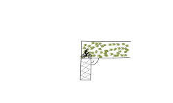 Gun Fire