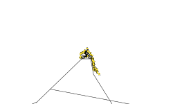 free stars