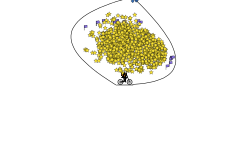 yelow zone