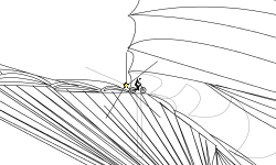 Best free rider art (DESC)