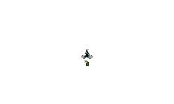 Auto Pug