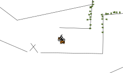 heli