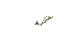 my track