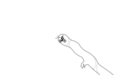 Hold Left Collob (Ft. Green_D)