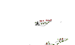 auto crash
