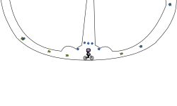 spinning the blob until breaks