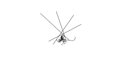 Rag doll falling