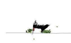 bursting through walls