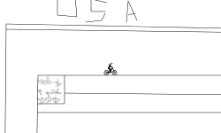 USA Flag